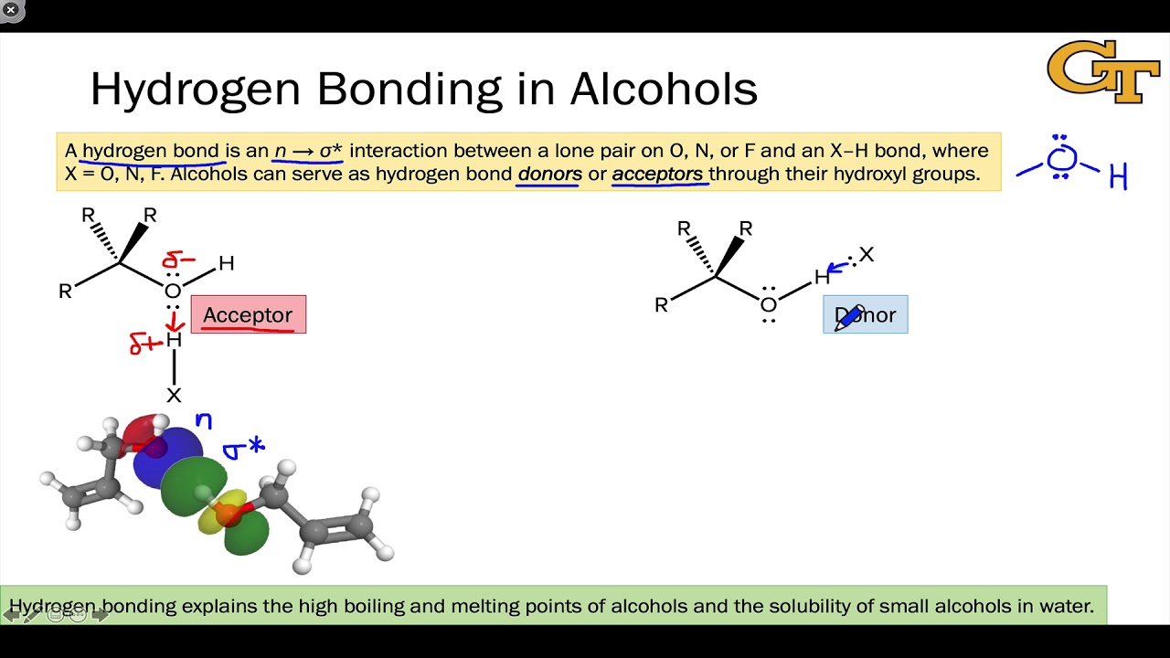 Do Alcohols Have Hydrogen Bonding?