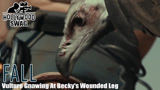 FALL (2022) : Vulture Gnawing At Becky's Wounded Leg  -- Hollywood Swag