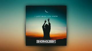 Famous Shormolessy - I Just Wish You Knew (Visualizer) Wealth