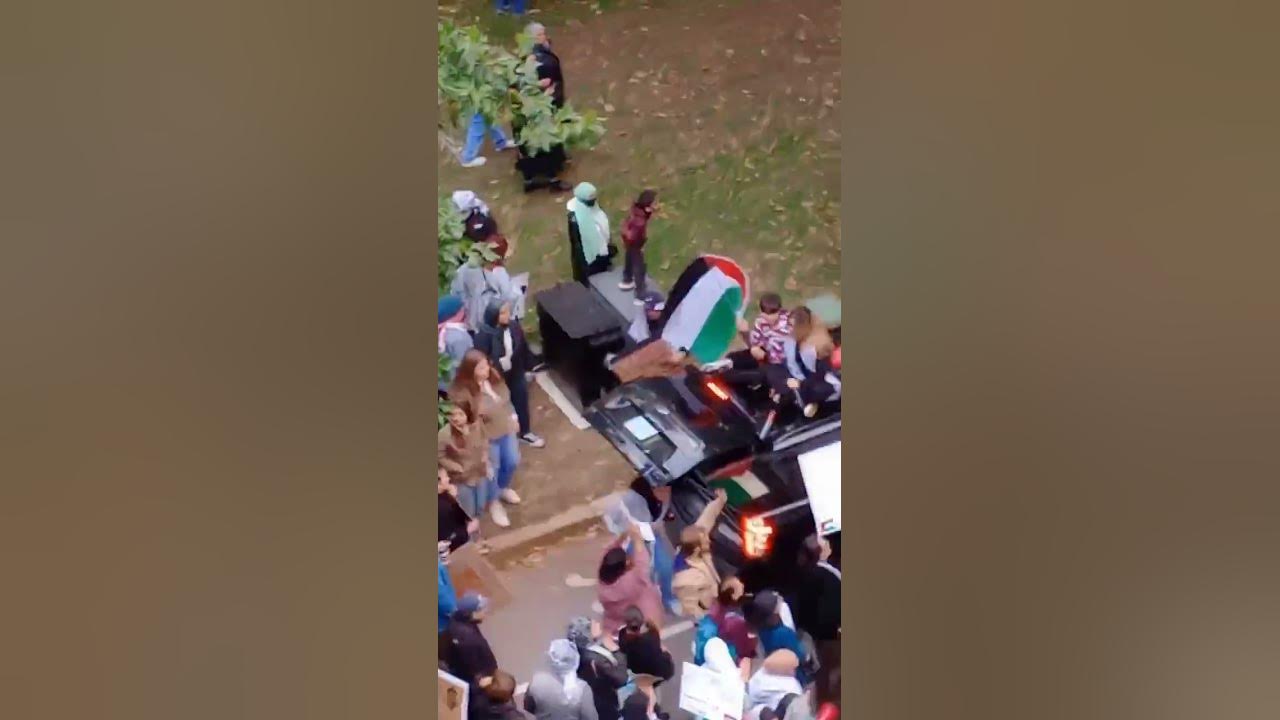 Прямо сейчас в Бостоне - демонстрация в поддержку Палестины - YouTube