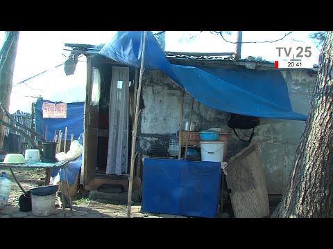 ცხოვრება ხის ჯიხურში