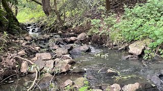My favorite summer stream ASMR