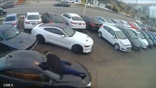 Galeriden otomobil çalan hırsızı aracın kaputuna tutunan satış görevlisi durdurumadı | Video Resimi