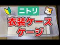 【ハムスター】衣装ケースケージを徹底解説!誰でもマネできる衣装ケースをケージとして使う方法!