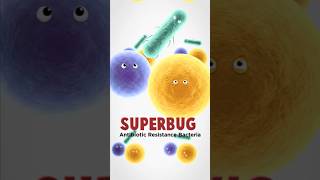 Why India's Antibiotics Are Failing You ⚠️ #shorts