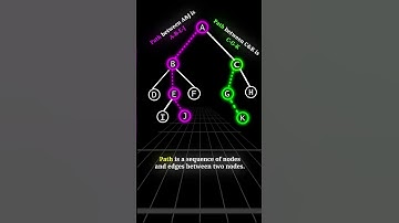Path in Tree  |  DSA  | #shorts #dsa #computerscience  #coding #engineering #tree #cse #shortsfeed
