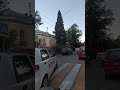 Быстро и навсегда избавиться от кротов