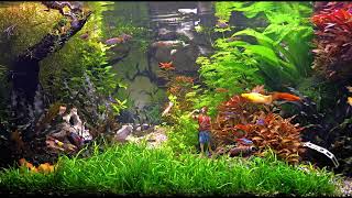 2 Hours Relaxing Aquarium 4K! with Caribbean-Pirates-Style and Watersound (NO LOOP! No Music. Real.)