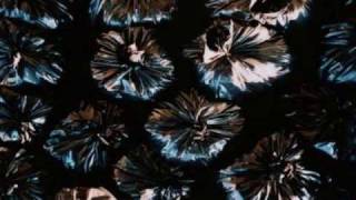 Rubbish Removal NYC
