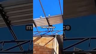 One resignation shut down the company!