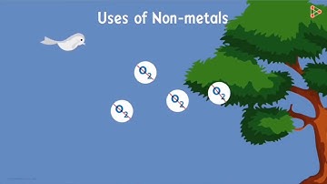 Uses of Metals & Non  Metals //Smart Learning //Sanjay Belli