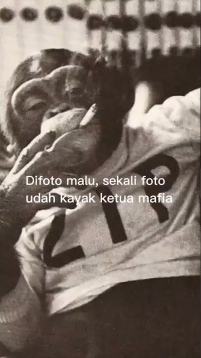 Jarang foto sekalinya foto kayak mafia 🤣😁 #shorts