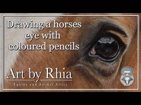 how-to-draw-a-horses-eye-with-colored-pencils-(tutorial)