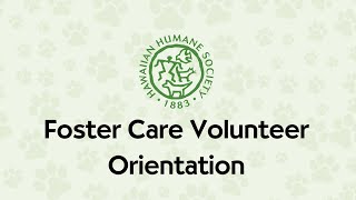 Foster Care Orientation