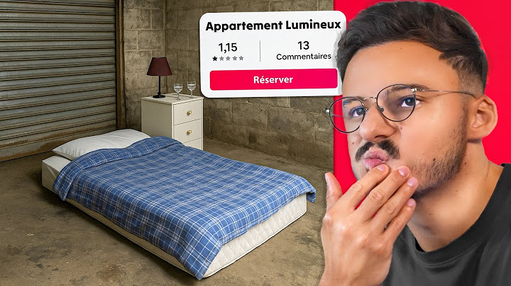 LES DINGUERIES DE AIRBNB (les voyageurs en pls)