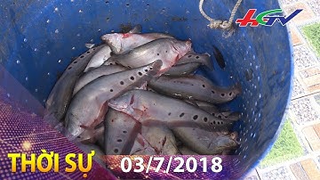 Khát vọng đưa con cá thát lát vươn xa | THỜI SỰ HẬU GIANG - 03/7/2018