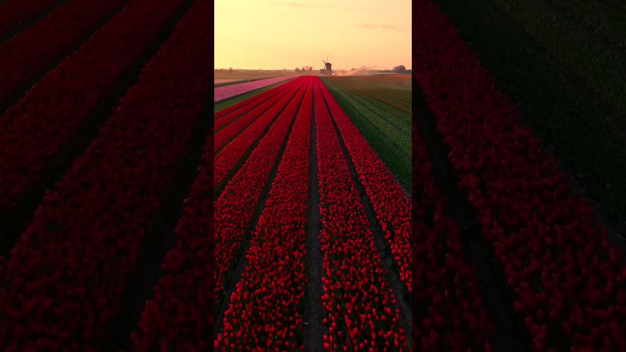 Surreal places you won’t Believe Exist 