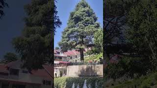 Patnitop, Green top hotel# best view# mountains#travel#nature