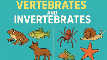 🐍🦴What If Animals Didn’t Have Bones – The Truth Revealed!” | Vertebrates vs Invertebrates Explained🦋