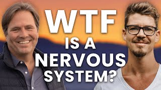 ‘WTF Is A Nervous System?’ With Jonny Miller