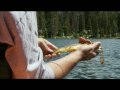 Fishing the Uinta Mountains