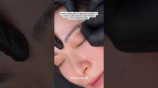 Nano brows