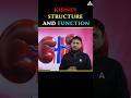 Kidney Function #kidney #humankidney #kidneyfunction #biharadda247 #examdate #science #sciencefacts