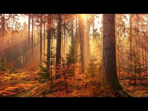 [簡譜] 全盤接收 - 吳瑭