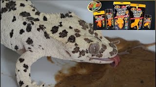 Product Review- ZooMed Crested Gecko Food
