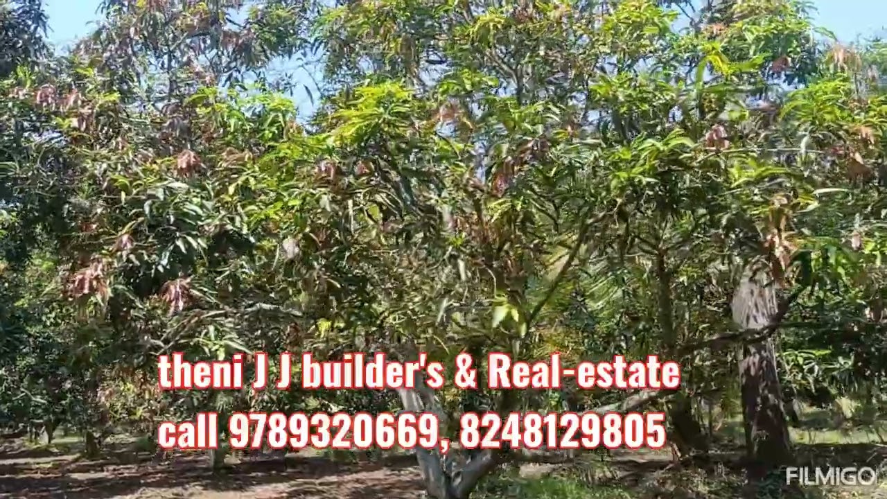 2.40 ஏக்கர் மாந்தோப்பு விற்பனைக்கு தேனி மாவட்டம் பெரியகுளம்