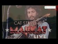 Cat Stevens - The wind - Subtitulada