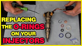 Need to Replace the ORings on Your Injectors??? Watch How Easy!!!