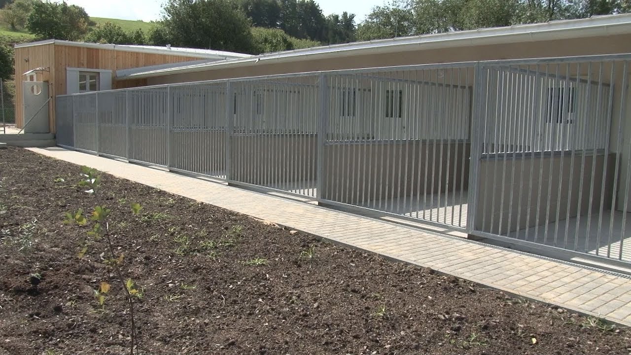 Nový rožnovský útulek pro psy a kočky je připraven na otevření