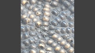 Empty Dice (Single 2 Step)