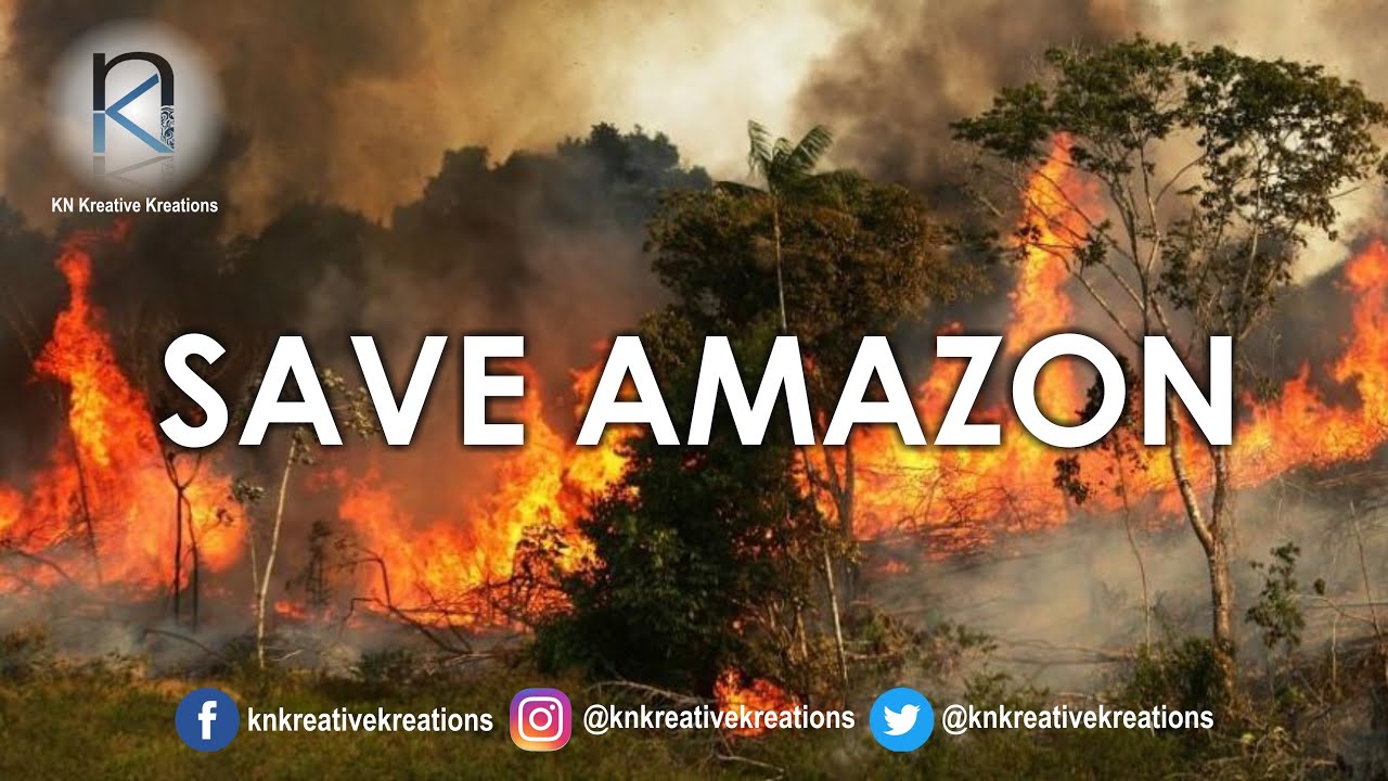 Save Amazon (The Lungs of the Earth is in flames)