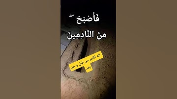 #سورة_المائدة #المصحف