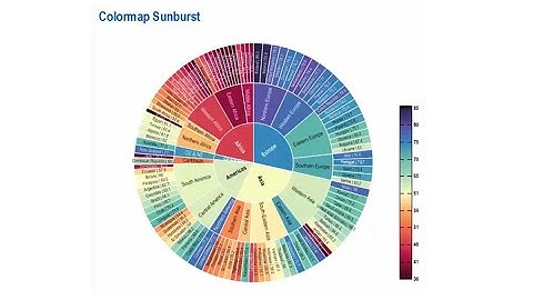 Sunburst Plot