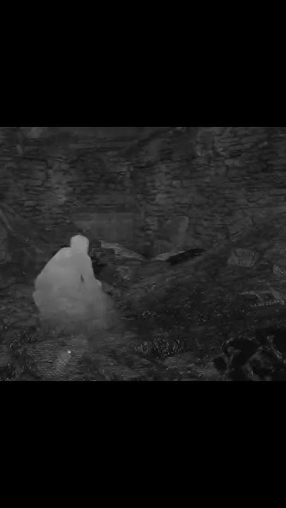 ЭТО ЧТО??? ЭТА ТА САМАЯ МАНТИЯ НЕВИДИМОСТИ??? #shorts #gaming # ...