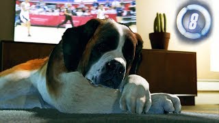 Detroit: Become Human - Part 8 - ALWAYS pet the dog..
