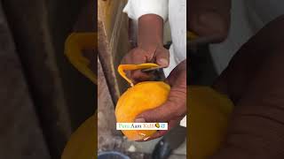 Aam Kulfi shorts streetfood food foodie gujaratifood recipe