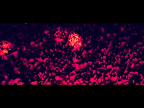 Prodigy - Smack My Bitch Up