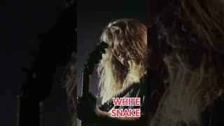 KILLER RIFFS! - John Sykes - Still of the Night 🐍