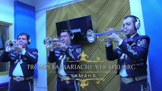 Trompeta mariachi