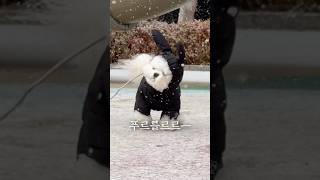 냉동참치… 3년만에 해동 되다?!ㄷㄷ