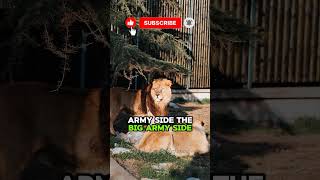 Secrets Hidden Inside The Palace🔥 #military #army #Viral #history #warstory #shorts