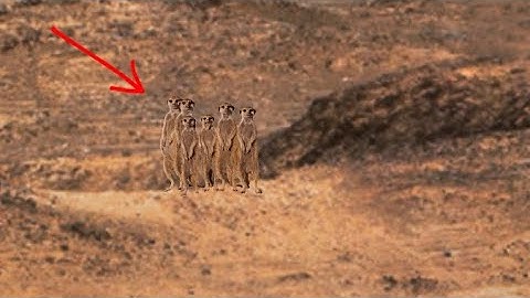 NASA Mars Perseverance Rover Released Breathtaking Panorama Video of Mars Surface Sol 1453