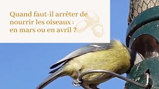 Nourrir les oiseaux sauvages dans sa main : conseils et limites