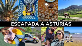 🛍️Compras: Aldi, Pepco, Primor y Primark, gastronomía y playa | Novedades ALDI | Vlog Nerea Nerea