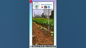 Agricultural Crops Fertilizer Tool, Automatic Crop Fertilizer Applicator, Fertilizer Tools, AgriTool