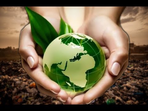Видео: Почему бизнес должен быть экологически чистым?